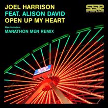 Joel Harrison: Open Up My Heart