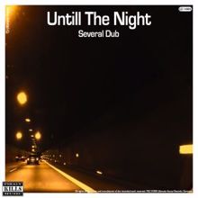 Several Dub: Untill the Night (Original Mix)