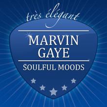 Marvin Gaye: Soulful Moods