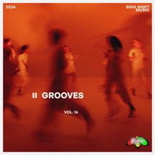 Various Artists: Grooves, Vol. 16