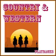 Allstar Country Band: Help Me Make It Through the Night