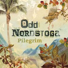 Odd Nordstoga: Pilegrim II