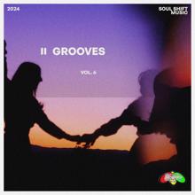 Various Artists: Grooves, Vol. 6