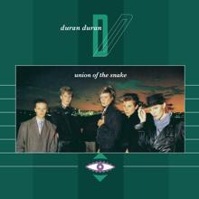 Duran Duran: Union Of The Snake