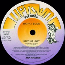 Mary J. Blige: Love No Limit (Remixes) (Love No LimitRemixes)