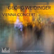 Georg Weidinger: Vienna Concert
