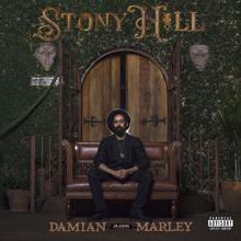 Damian "Jr. Gong" Marley: Nail Pon Cross