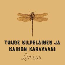 Tuure Kilpeläinen ja Kaihon Karavaani: Lumous