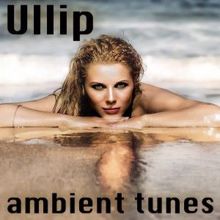 Ullip: Harmonic Waves