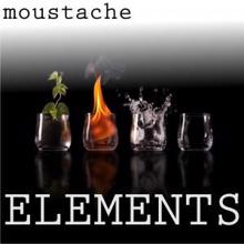 Moustache: Elements