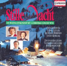 Various Artists: Christmas Concert (Stille Nacht)