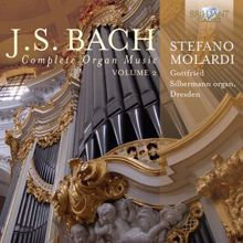 Stefano Molardi: 18 Chorale Preludes, BWV 651 - 668: IX. Jesus Christus, unser Heiland, BWV 665