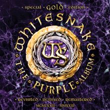 Whitesnake: Soldier of Fortune (feat. Joel Hoekstra & The Hook City Strings)