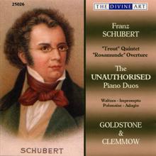 Various Artists: Schubert, F.: The Unauthorised Piano Duos