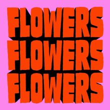 Flowers: Hypnotic (Instrumental)