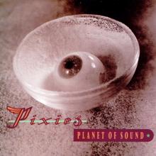 Pixies: Planet Of Sound