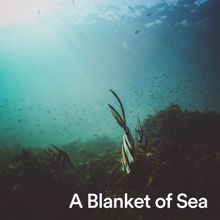 Ocean Sounds: A Blanket of Sea