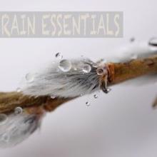 Rain Sounds: Rain Essentials