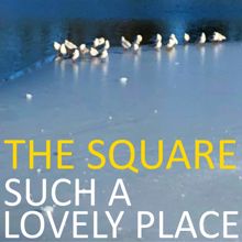 THE SQUARE: My Love for You Is Like a Mirror