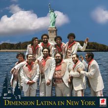 Dimension Latina: Tiene Coimbre