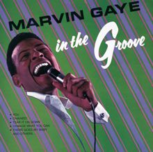 Marvin Gaye: In The Groove