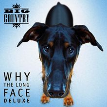 Big Country: Why the Long Face (Deluxe)