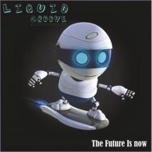 Liquid Groove: Future Is Now