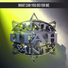 Utah Saints: What Can You Do for Me