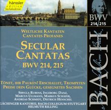 Andreas Schmidt: Bach, J.S.: Secular Cantatas, Bwv 214-215