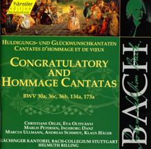 Andreas Schmidt: Die Zeit, die Tag und Jahre macht, BWV 134a: Recitative: Bedenke nur, beglucktes Land (Alto, Tenor)