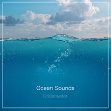 Ocean Sounds: Underwater