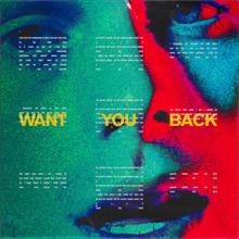 5 Seconds of Summer: Want You Back