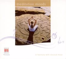 Various Artists: Meditation Moods - In Harmony With Classical Music