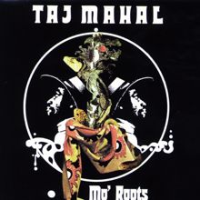 Taj Mahal: Mo' Roots