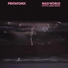 Pentatonix: Mad World (Steve James Remix)