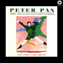 Peter Pan-Kuoro: Kadonneet pojat