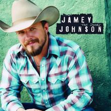 Jamey Johnson: The Dollar