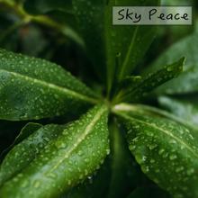 Rain Sounds: Sky Peace