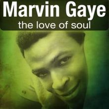 Marvin Gaye: The Love of Soul