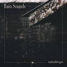 Rain Sounds: Raindrops