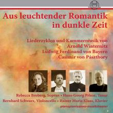 Rebecca Broberg, Hans Georg Priese, Rainer Maria Klaas, Bernhard Schwarz: Aus leuchtender Romantik in dunkle Zeit, Vol. 1