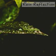 Rain Sounds: Rain Reflection