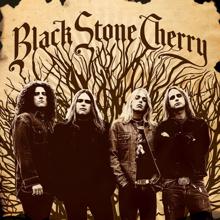 Black Stone Cherry: Black Stone Cherry (Special Edition)