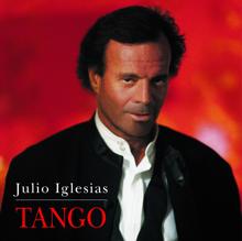 Julio Iglesias: Mi Buenos Aires Querido (Album Version)
