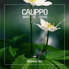 Calippo: What Is House (Original Club Mix)