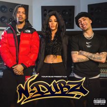 N-Dubz: Trust No One (Tour Bus Freestyle)