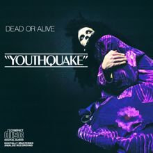 Dead Or Alive: Youthquake