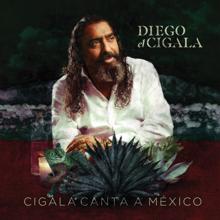 Diego El Cigala: Cenizas