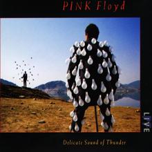 Pink Floyd: Comfortably Numb (Live)