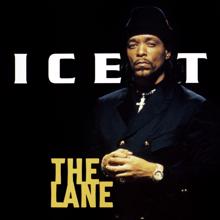Ice T: Bouncin' Down The Strezeet (DJ Ace Remix / Explicit)